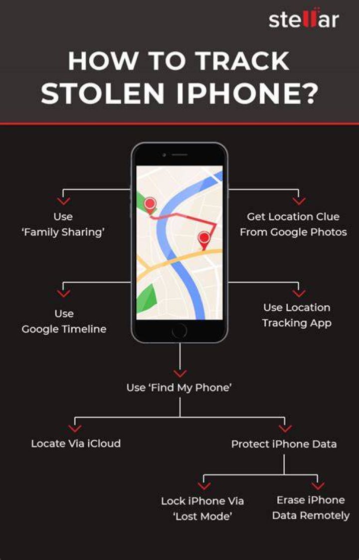 Can I track my Tesla if stolen?