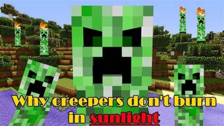 Do Creepers burn in sunlight?