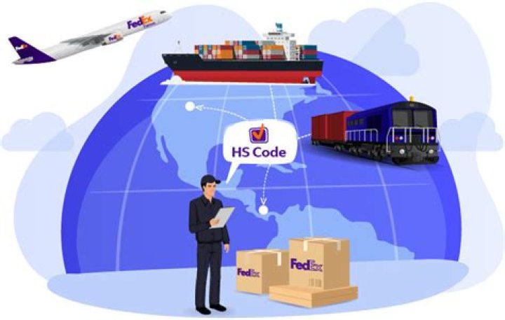 Does FedEx clear customs?