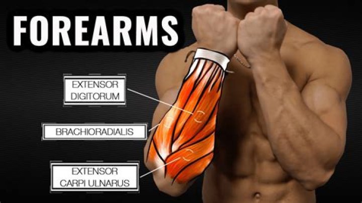 How do I make my forearms bigger?