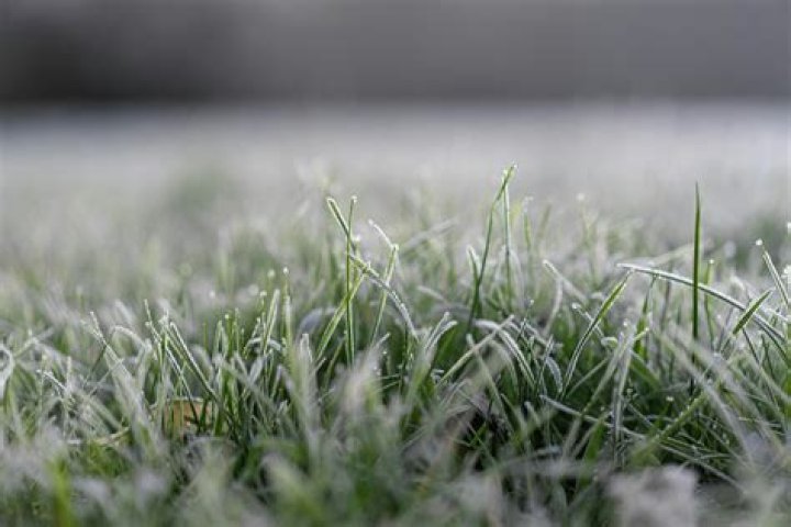 Is it too cold to fertilize lawn?