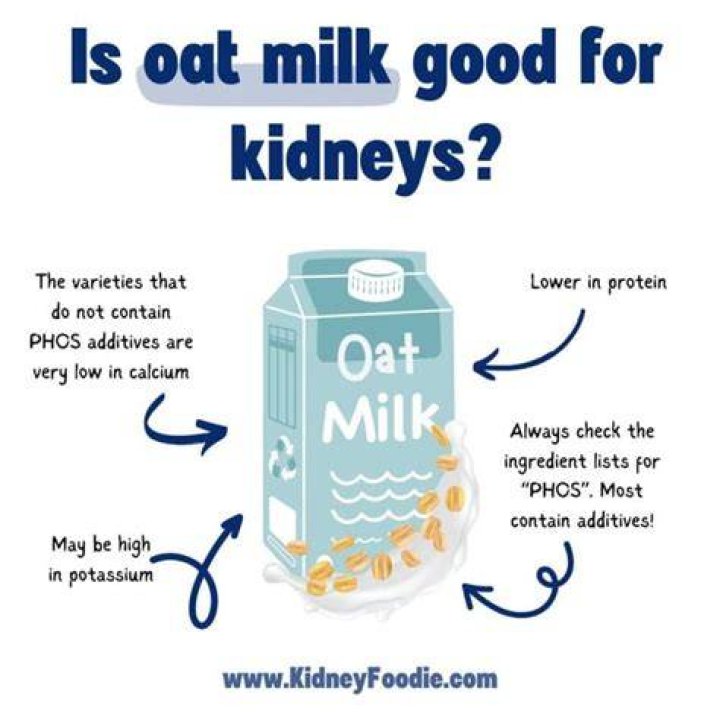 Is oat milk good for kidneys?