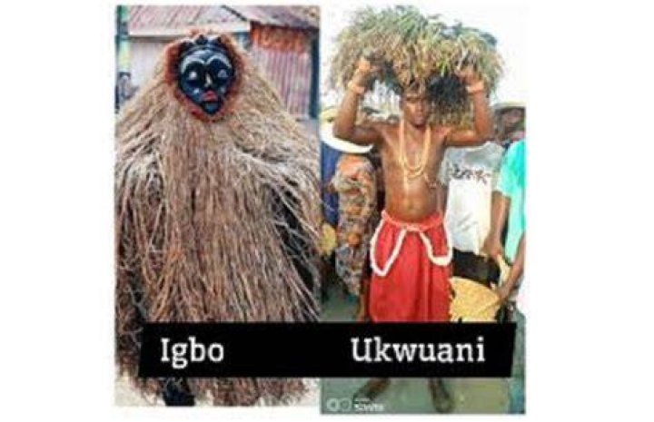 Is Ukwuani a Igbo?