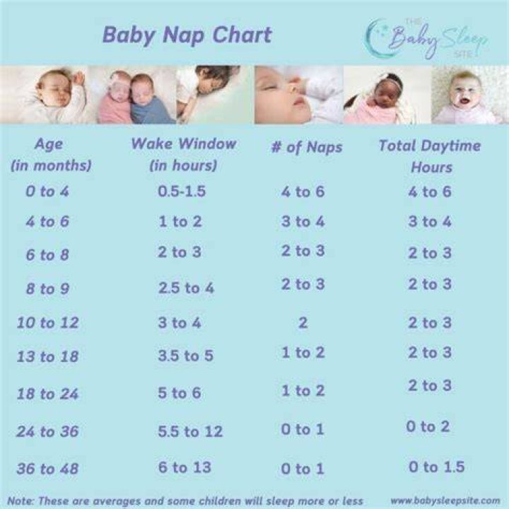 Should I let my toddler nap for 3 hours?
