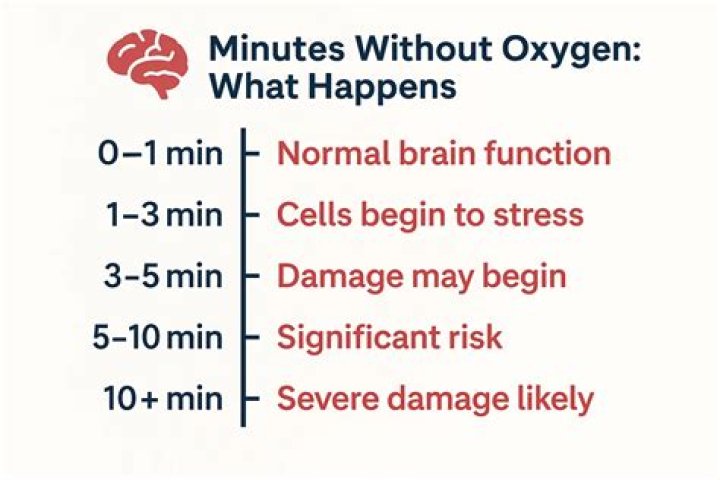 What happens to the brain after 20 minutes without oxygen?