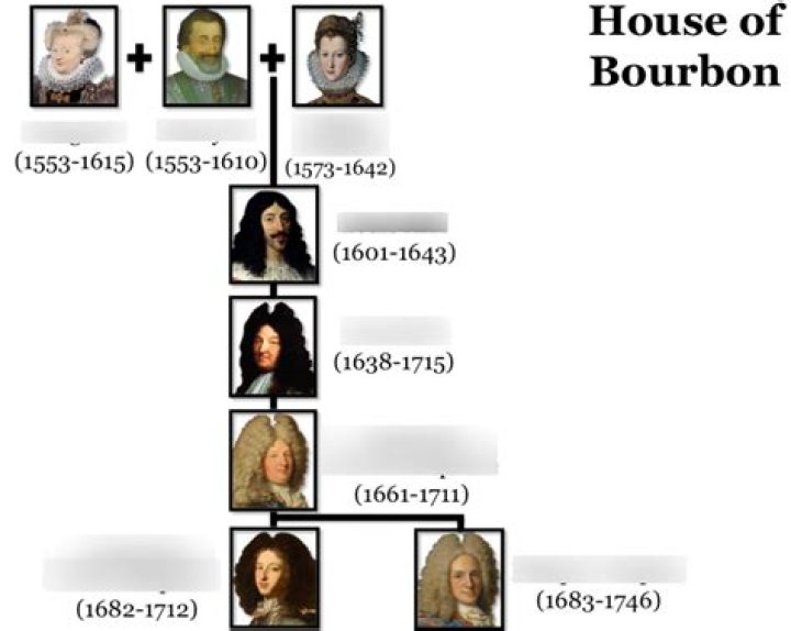 Who ruled France before the Bourbons?