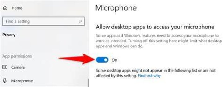 Why is there a microphone at the top of my screen?