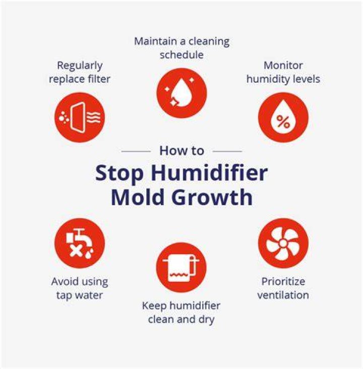 Will using a humidifier cause mold?